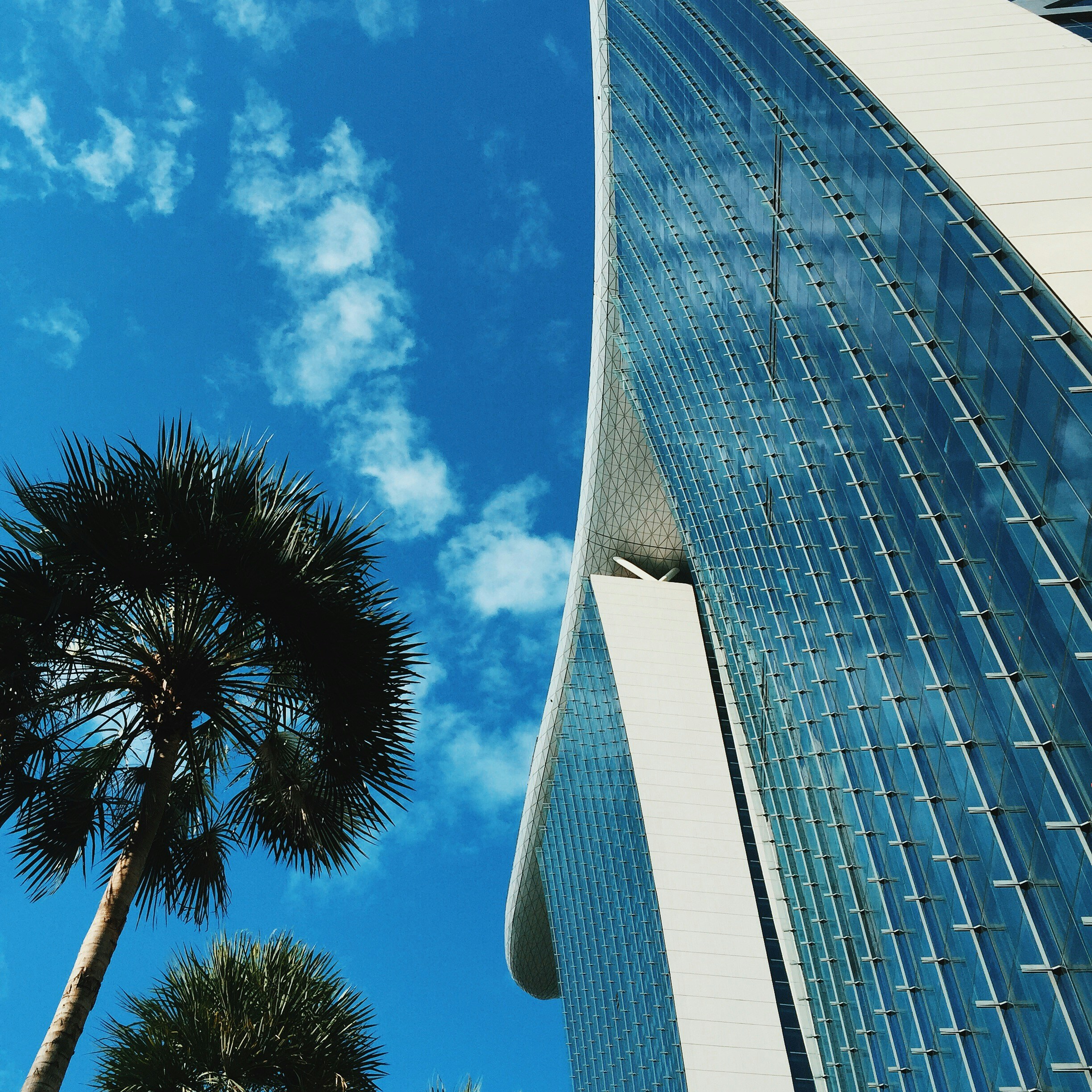 Free Unsplash photo from Neko Tai