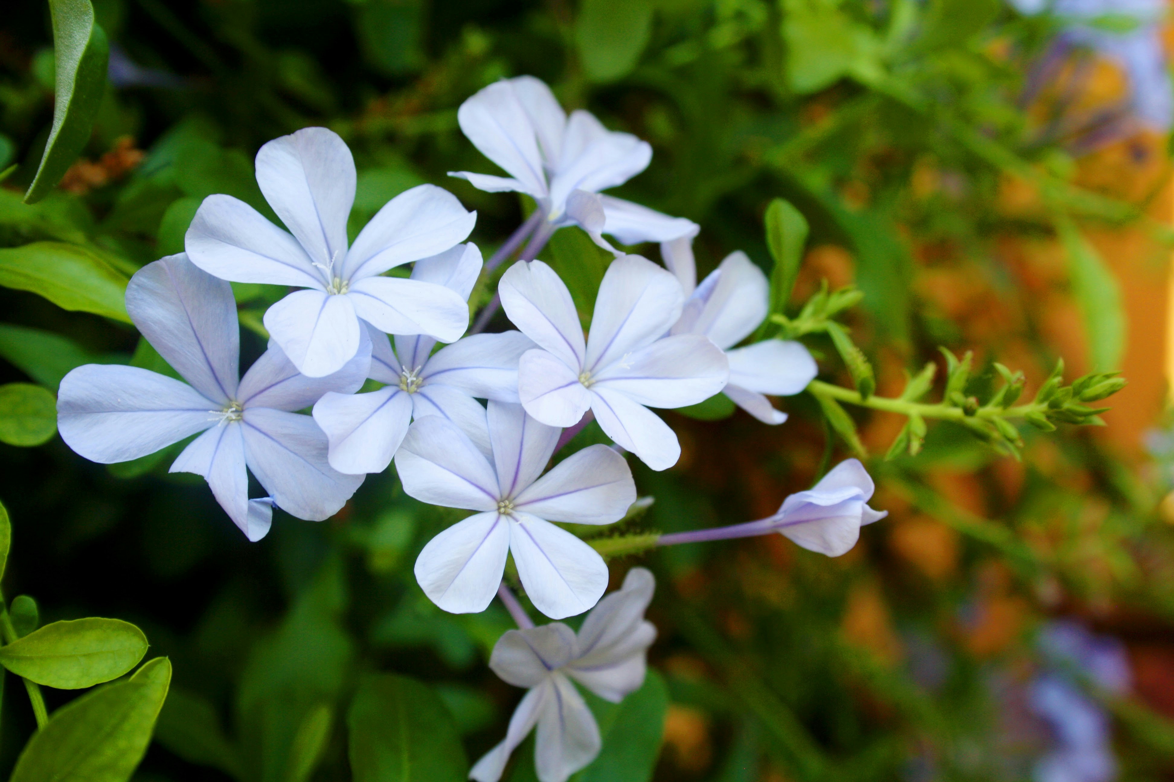 Free Unsplash photo from Sylwia Forysińska