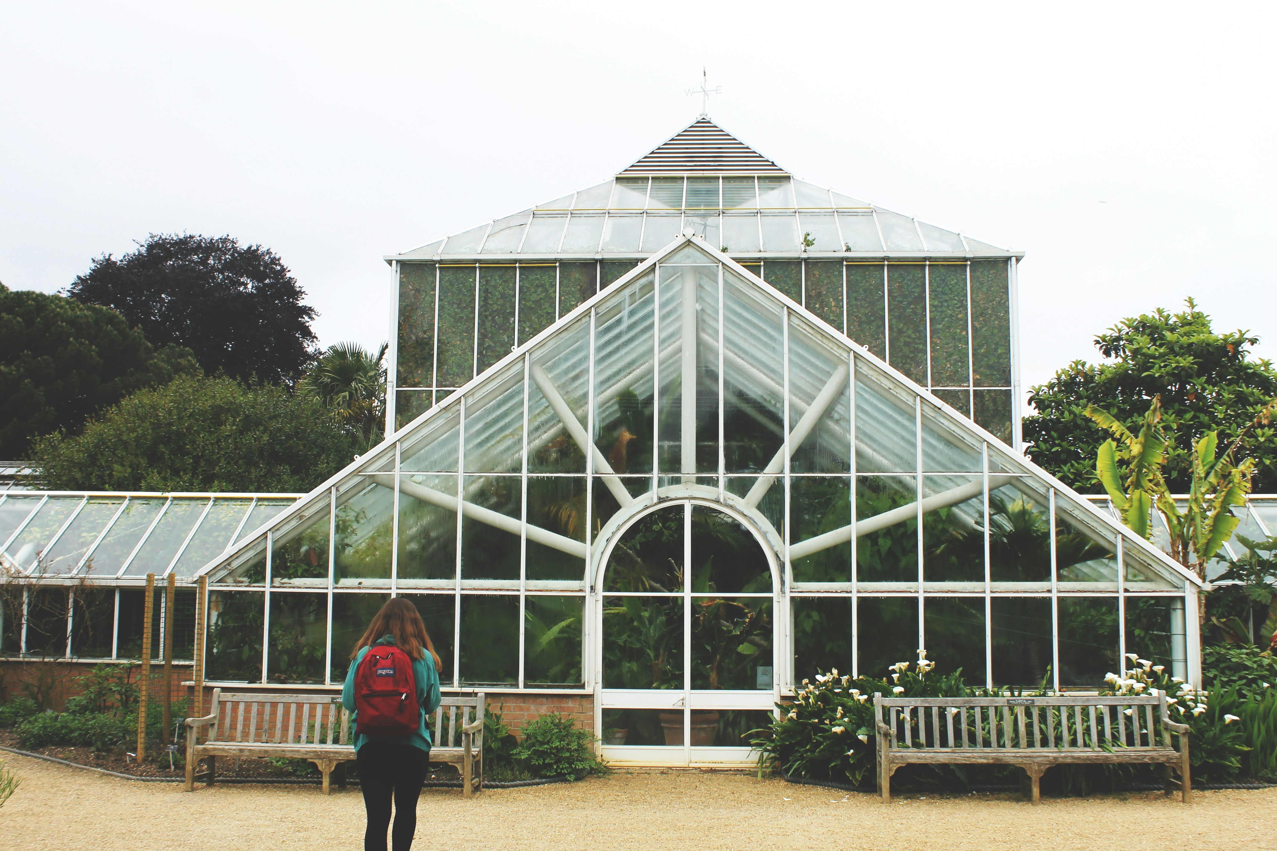 Павильон Азейбарджан оранжерея