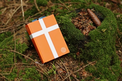 A bright orange book with a white cross on the cover rests on a moss-covered tree stump in a forest setting. Fallen leaves and a pine cone can be seen on the stump, surrounded by twigs and green moss.