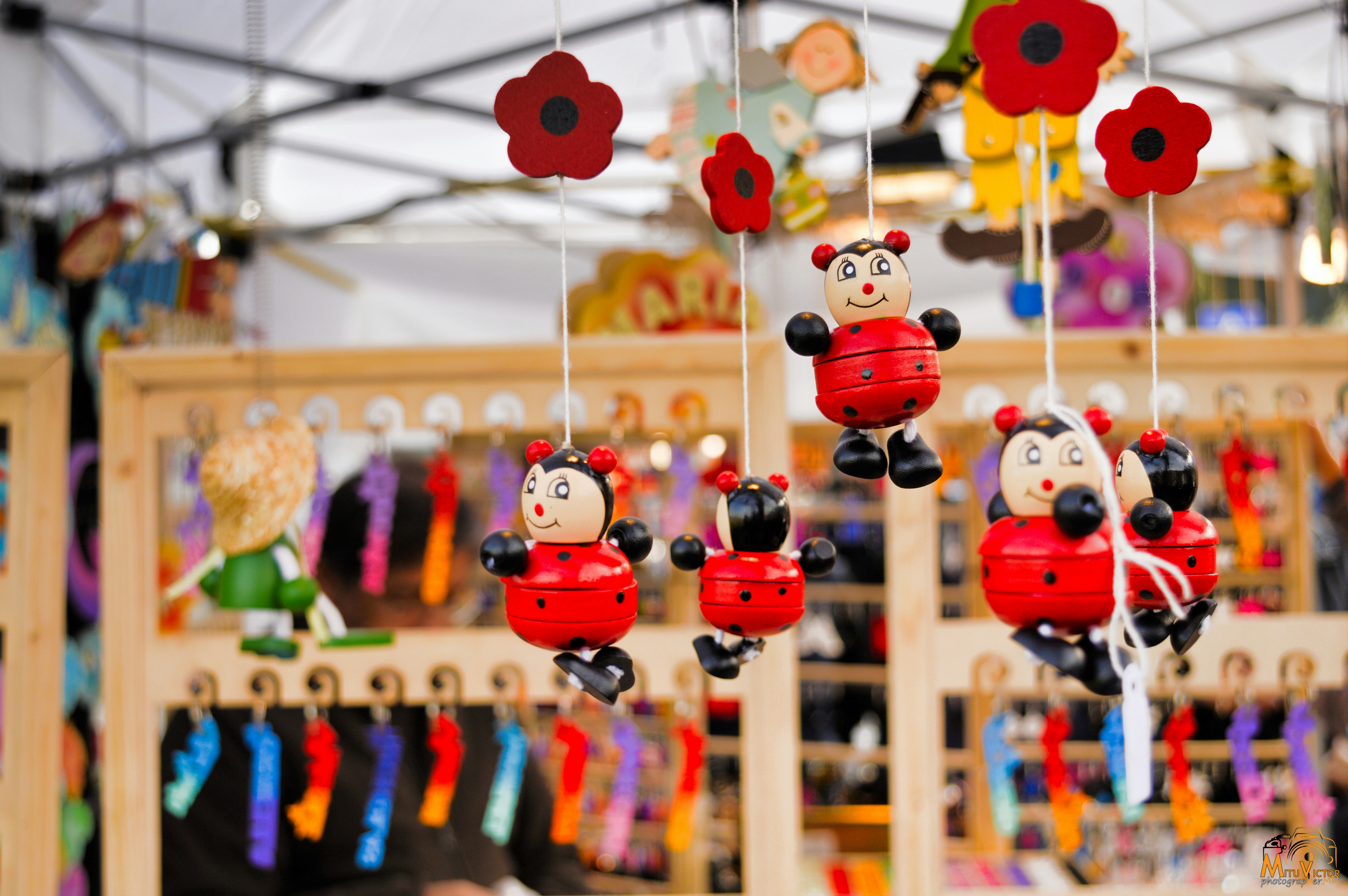 Free Unsplash photo from VIK'PHOTO