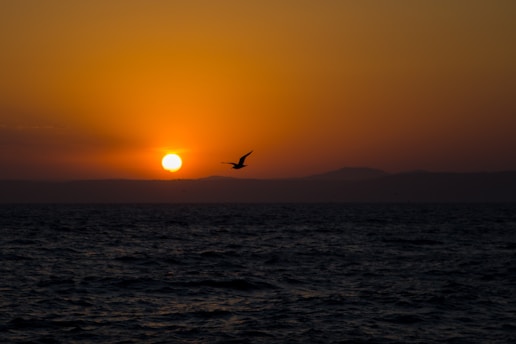 A vibrant sunset over a volcanic mountain with a soaring bird in the foreground.