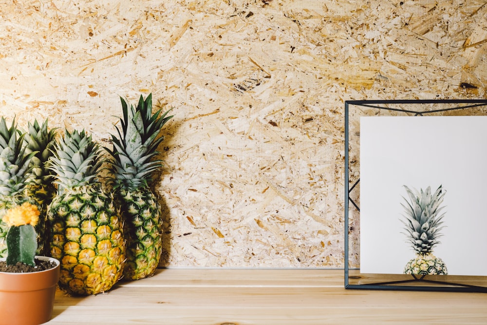 pineapple fruit and succulent plant