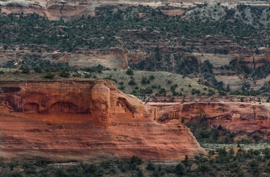 landscape photography of rock formation in Fruita United States