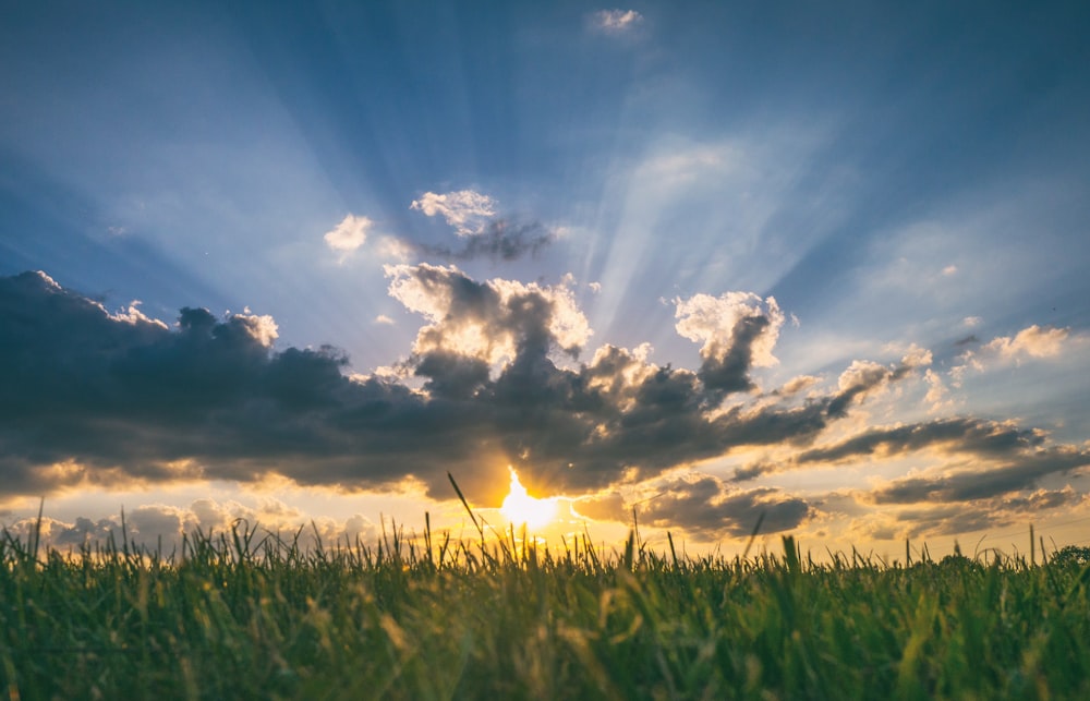 the sun is setting over a field of grass