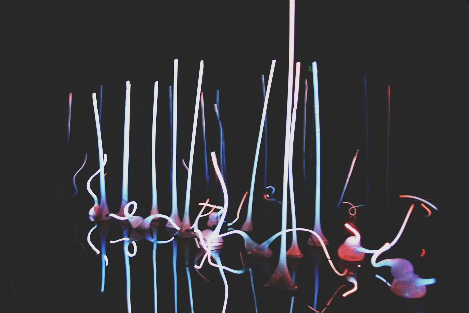 gray computer monitor