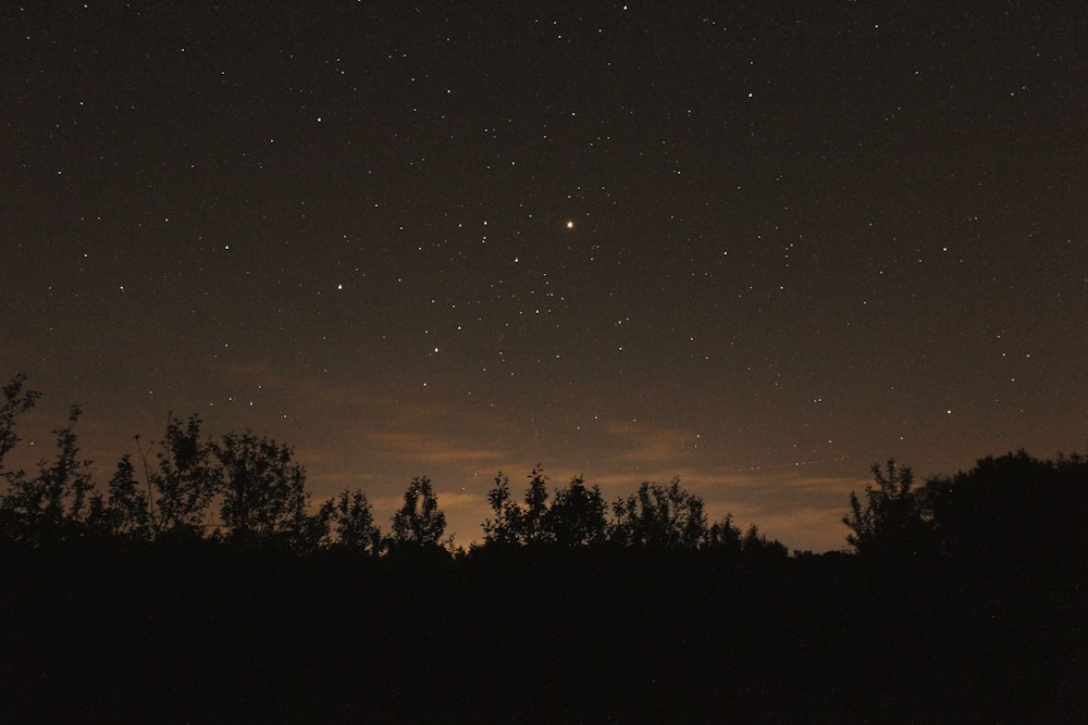 clear sky with stars