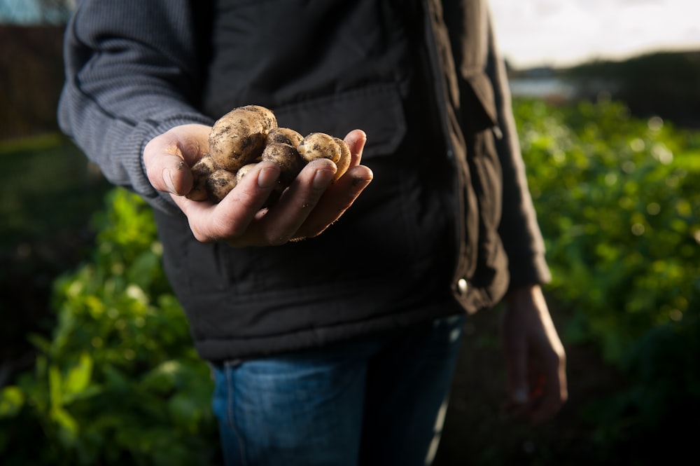 man holding potato