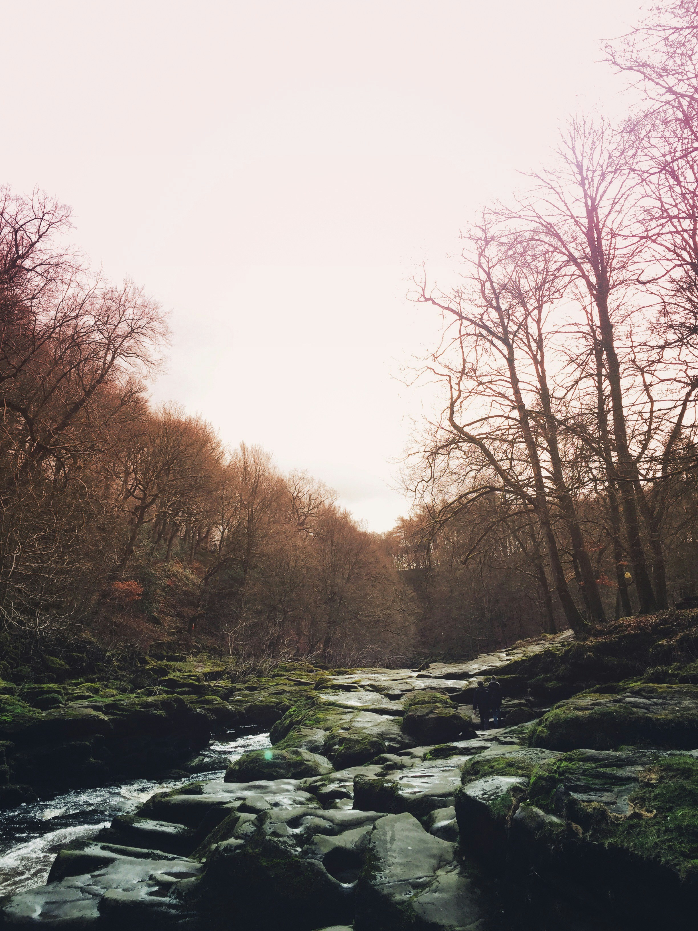 Free Unsplash photo from Rob Murgatroyd