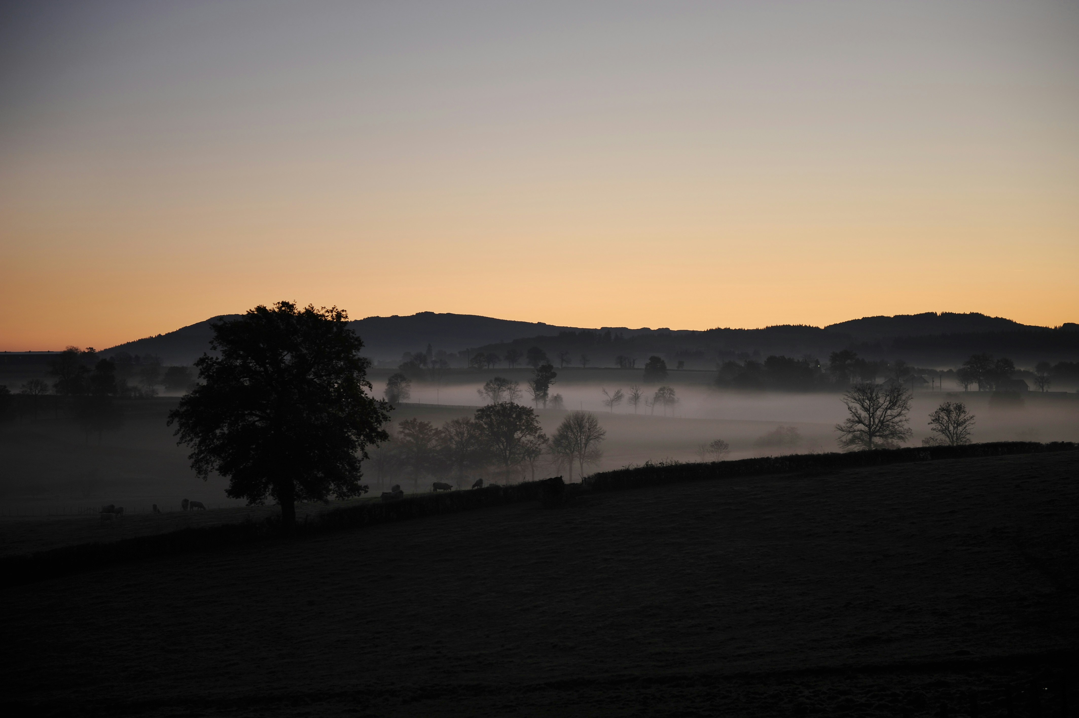 Free Unsplash photo from Agence Producteurs Locaux Damien Kühn