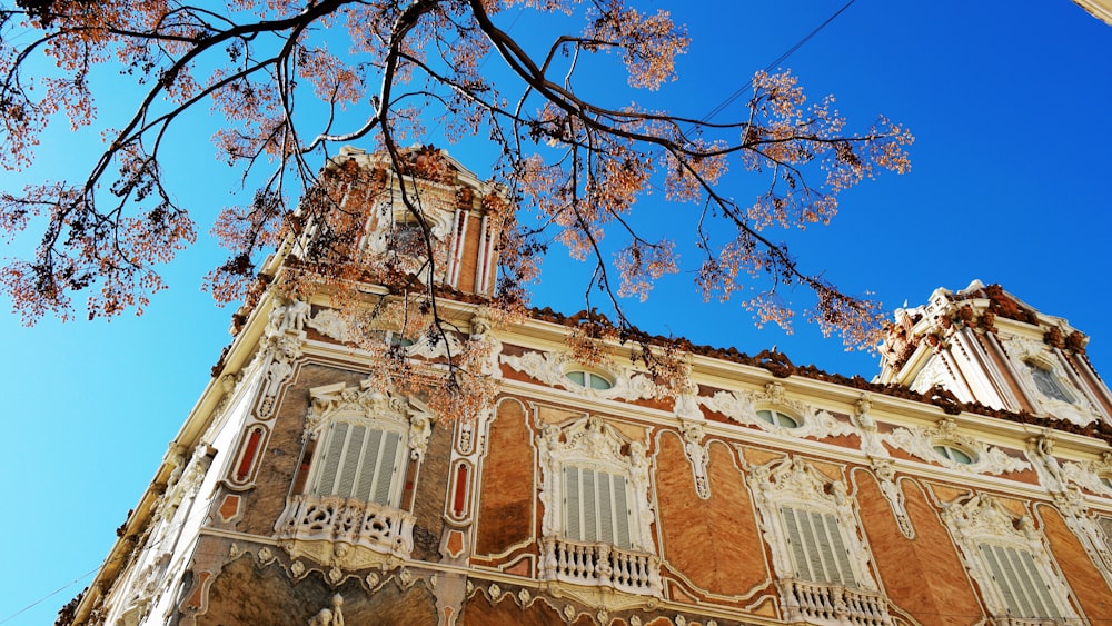 low-angle view of brown and white building