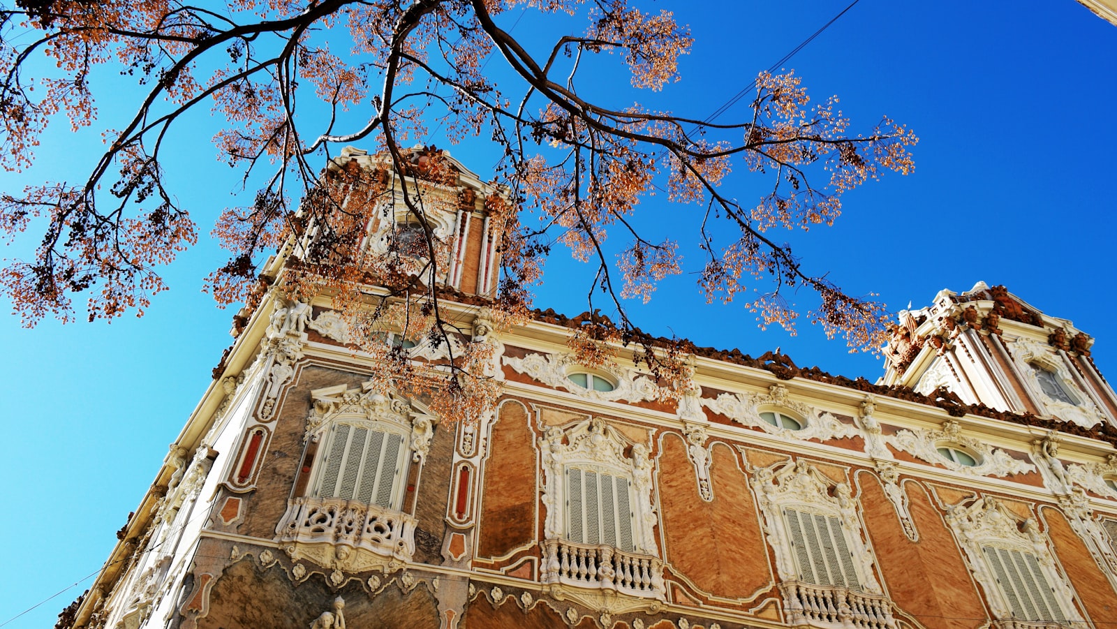 Samsung NX1 + NX 18-55mm F3.5-5.6 sample photo. Low-angle view of brown photography