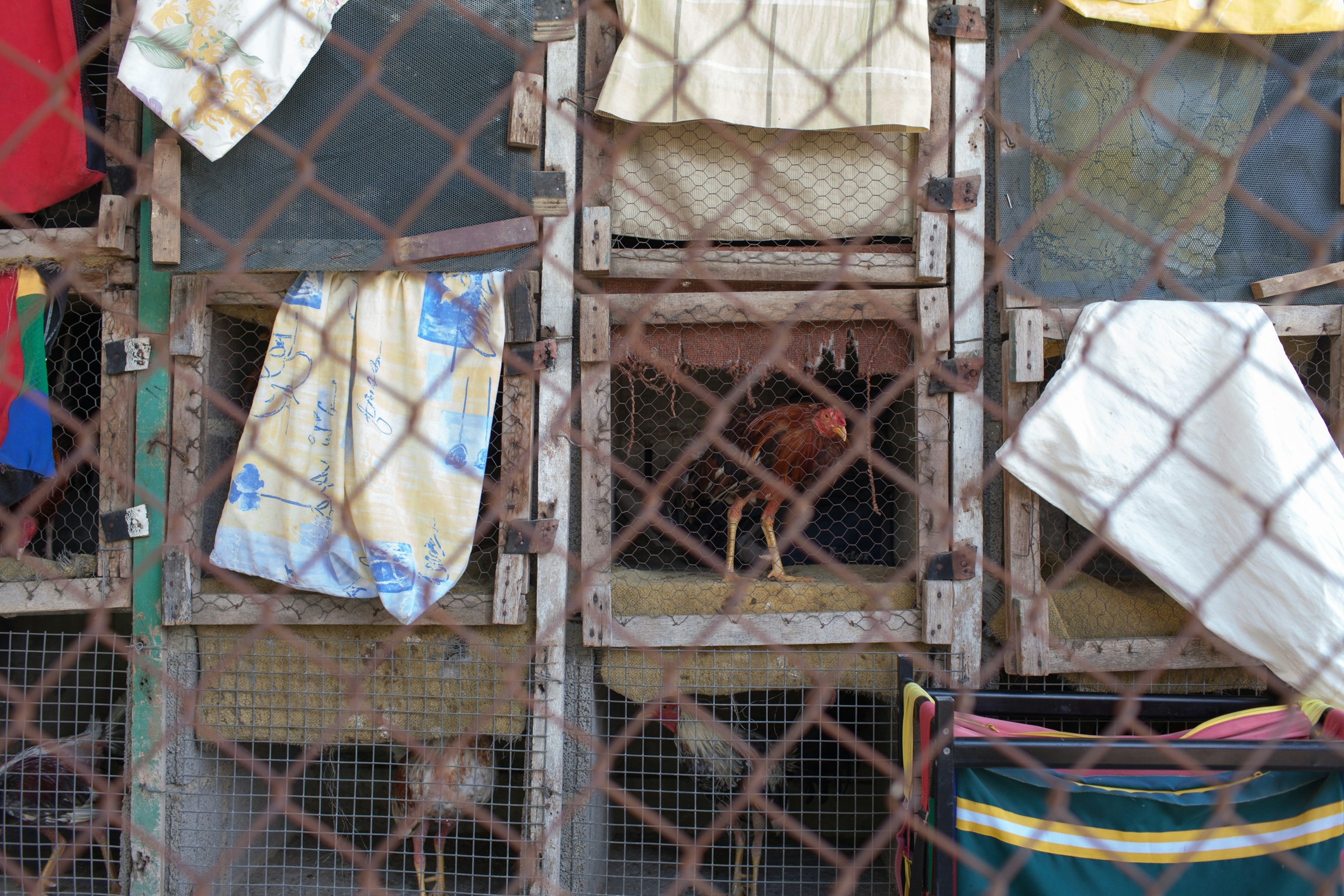 Free Unsplash photo from Manuel Alejandro Hernández Giuliani