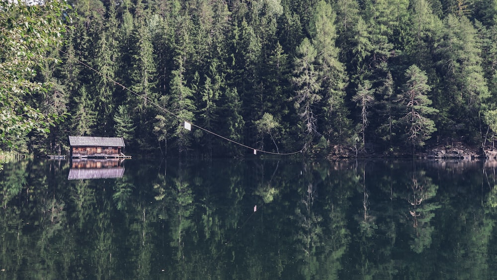 brown house near body of water and trees