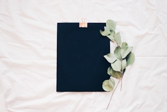 Small branches of leaves next to a black clipboard on a white sheet.