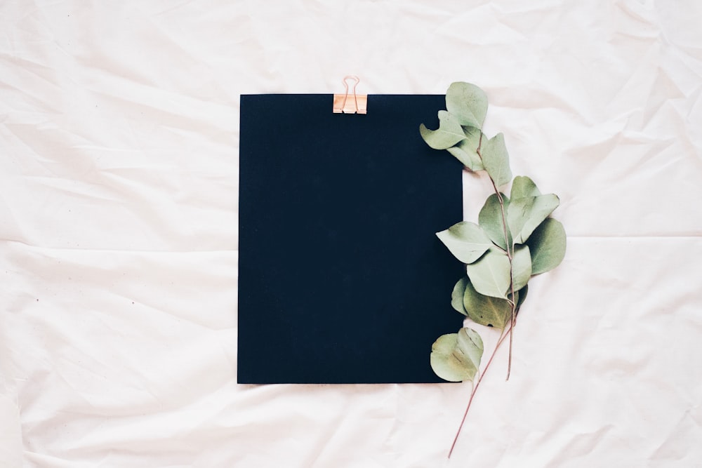 Small branches of leaves next to a black clipboard on a white sheet.