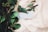 Lush green leaves are arranged artistically on a light, flowing fabric. The variation in leaf shapes and textures creates a natural contrast against the soft backdrop. In the center, a light blue rectangular card is subtly placed, adding an element of interest and balance to the composition.