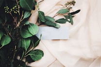 Lush green leaves are arranged artistically on a light, flowing fabric. The variation in leaf shapes and textures creates a natural contrast against the soft backdrop. In the center, a light blue rectangular card is subtly placed, adding an element of interest and balance to the composition.