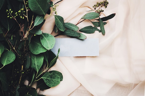 Lush green leaves are arranged artistically on a light, flowing fabric. The variation in leaf shapes and textures creates a natural contrast against the soft backdrop. In the center, a light blue rectangular card is subtly placed, adding an element of interest and balance to the composition.