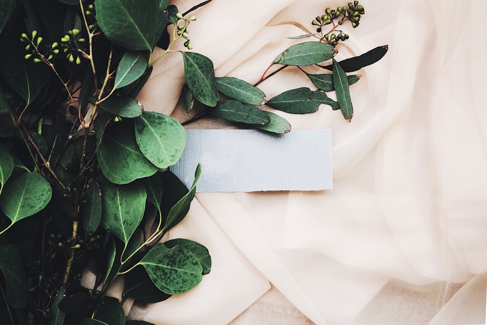 feuilles vertes sur textile blanc