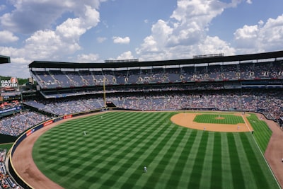 skyline photography of green ballpark baseball google meet background