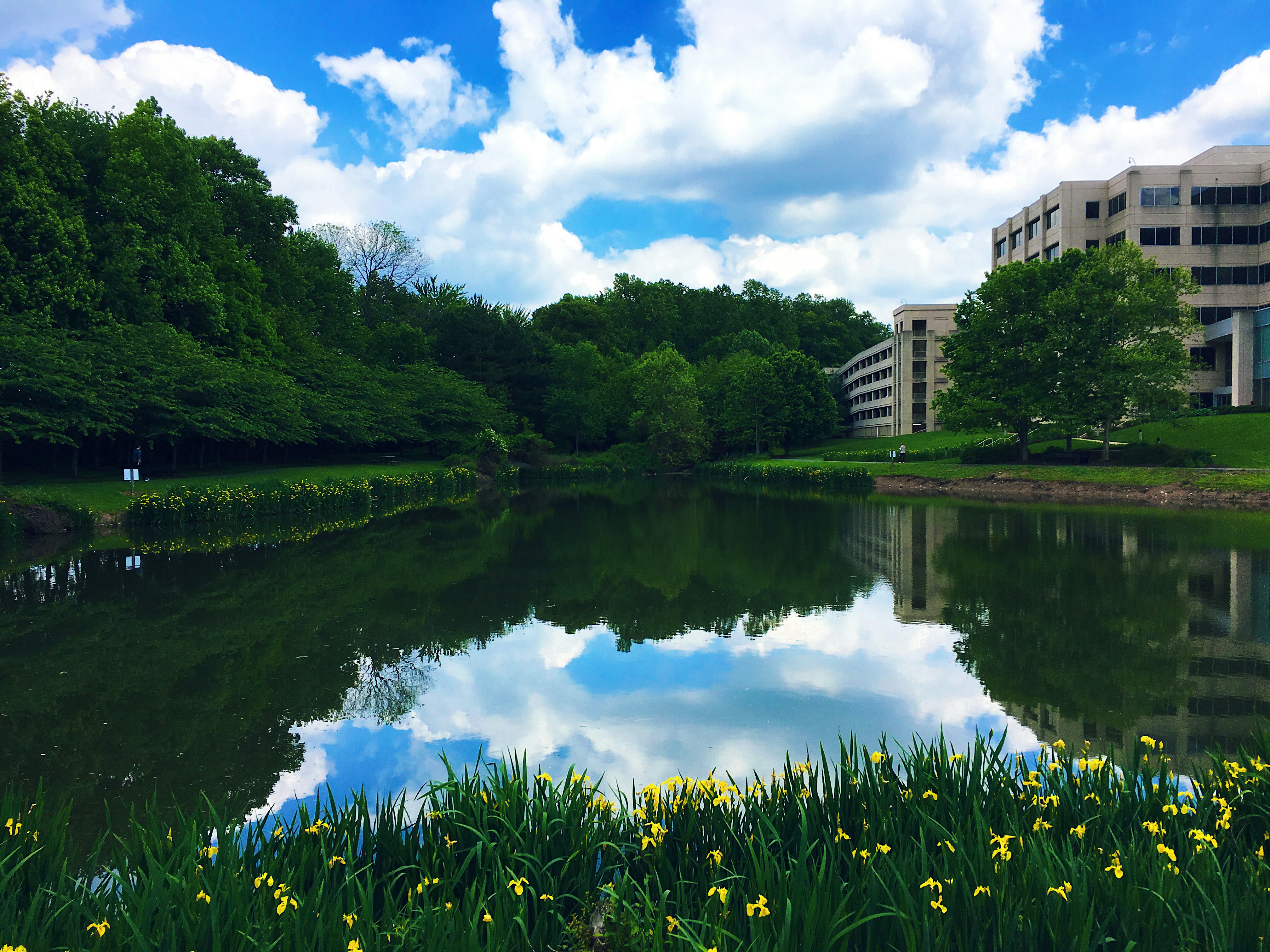 Free Unsplash photo from Junaid Ahmed