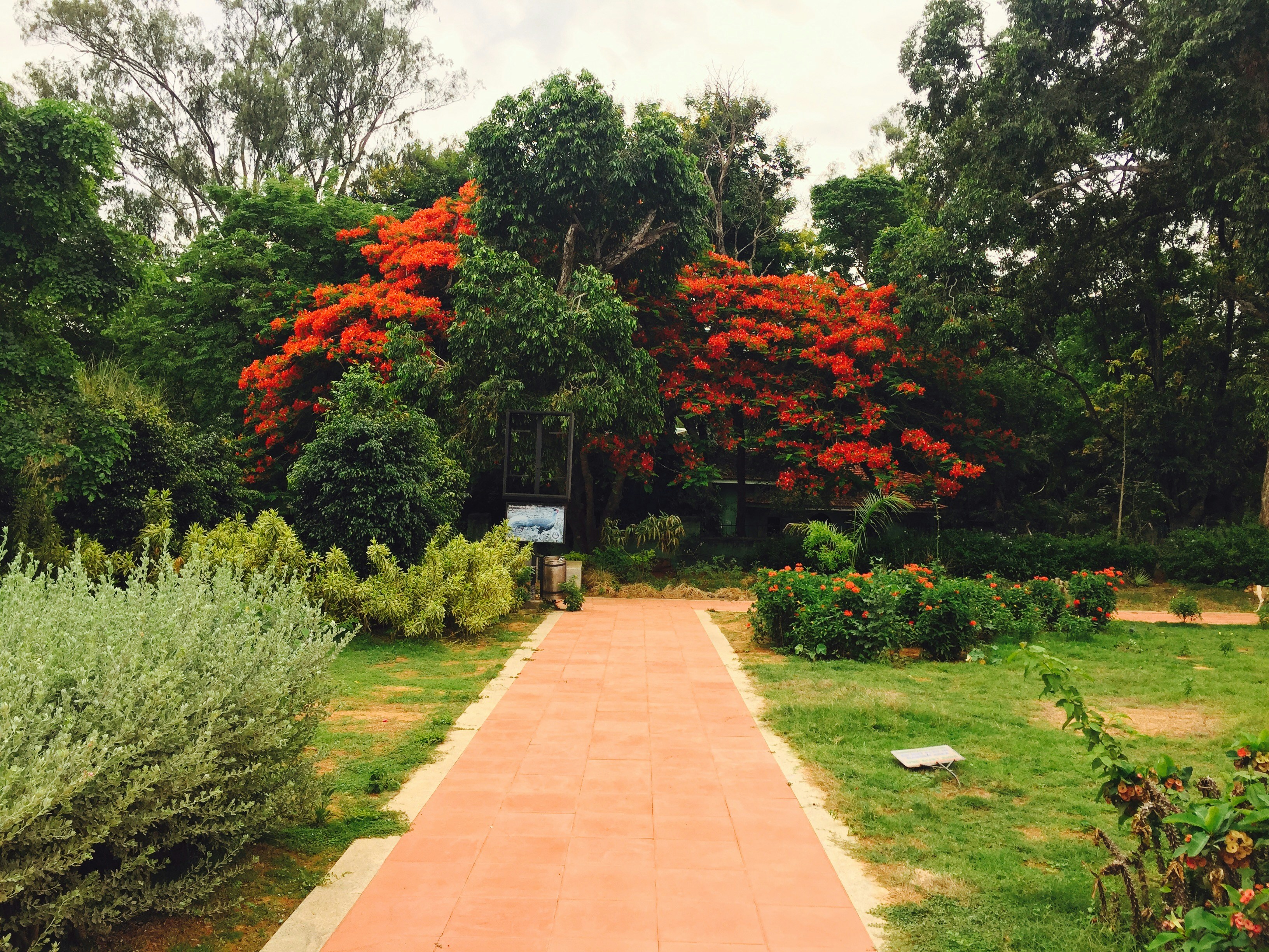 Free Unsplash photo from Aatur Harsh