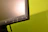Close-up of a computer screen displaying a product page with a vivid green buy now button.
