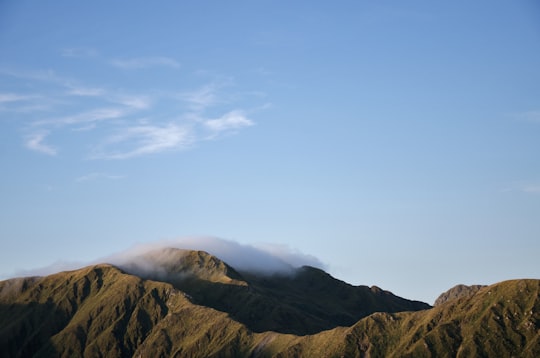 photo of Tararua Forest Park Hill near Museum of New Zealand Te Papa Tongarewa