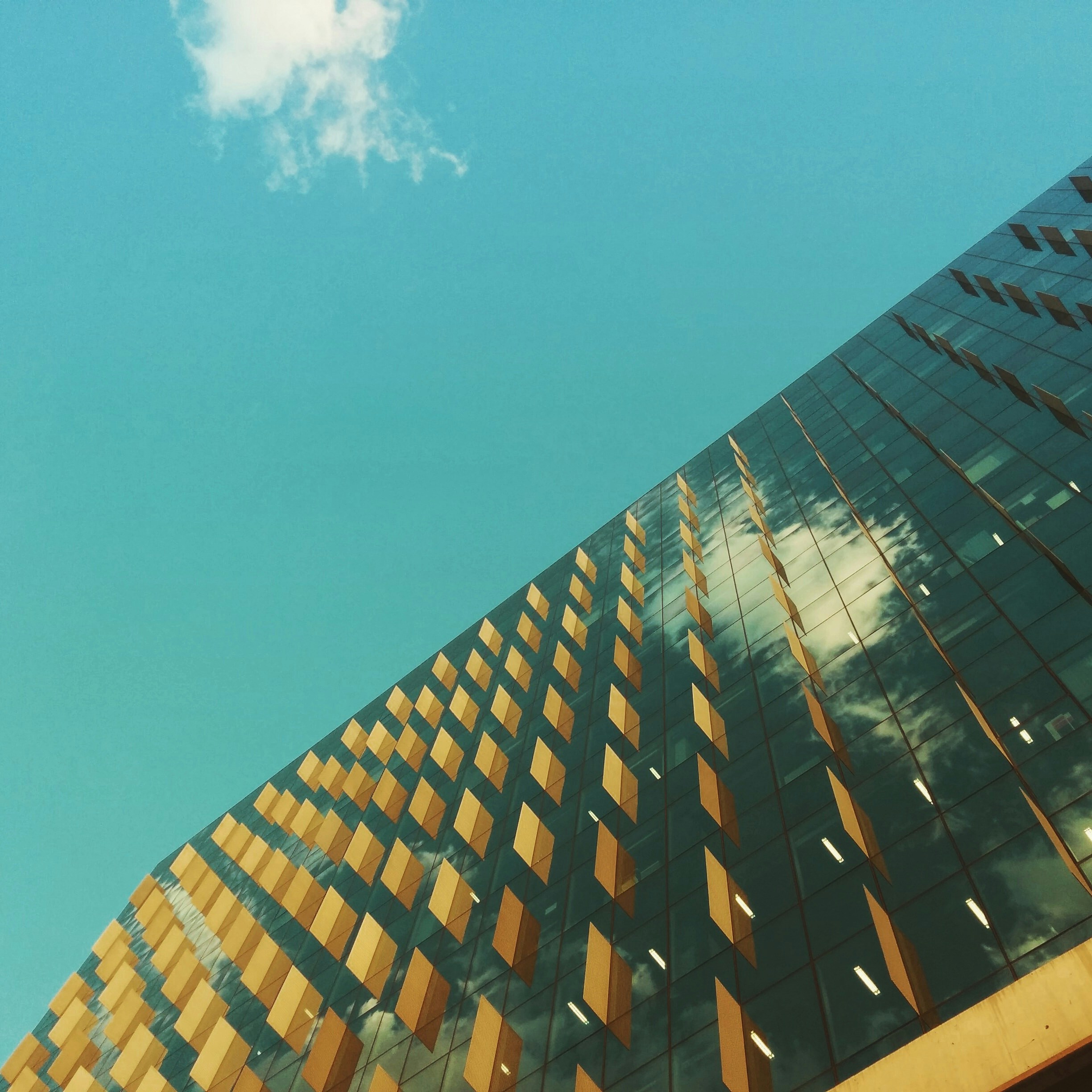 gray computer monitor