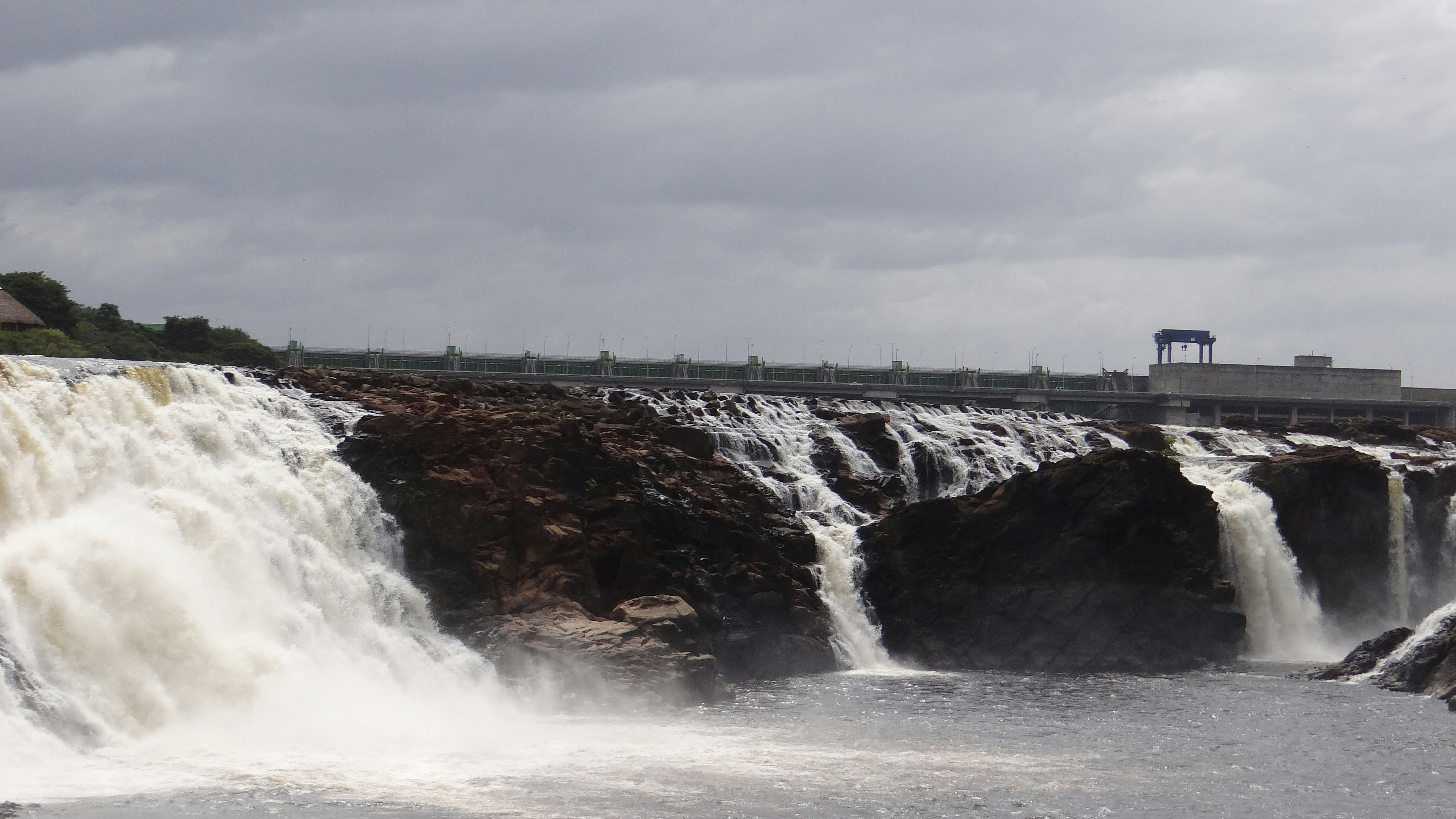 Free Unsplash photo from Nattasha Gomez