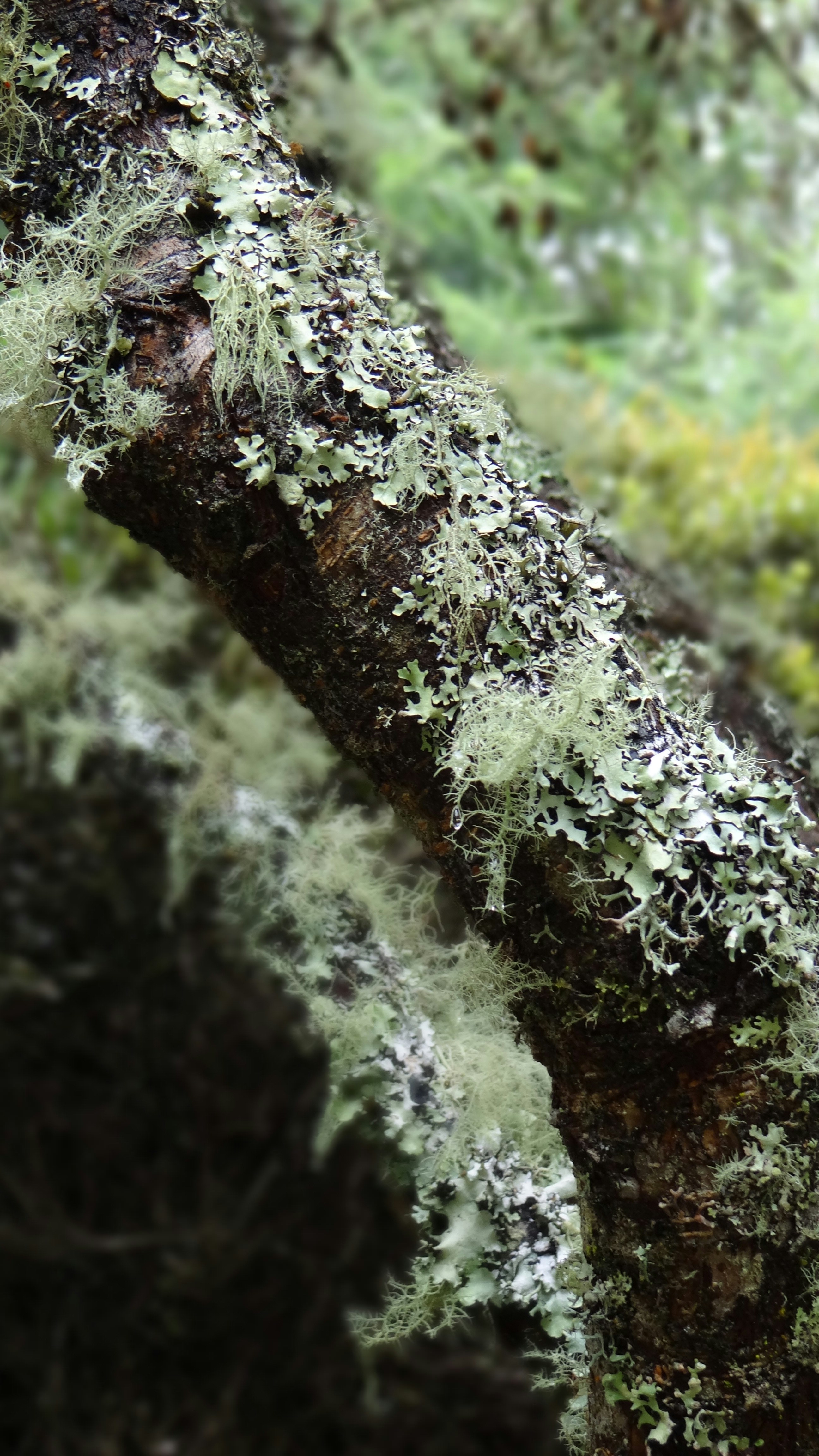 Free Unsplash photo from Nattasha Gomez