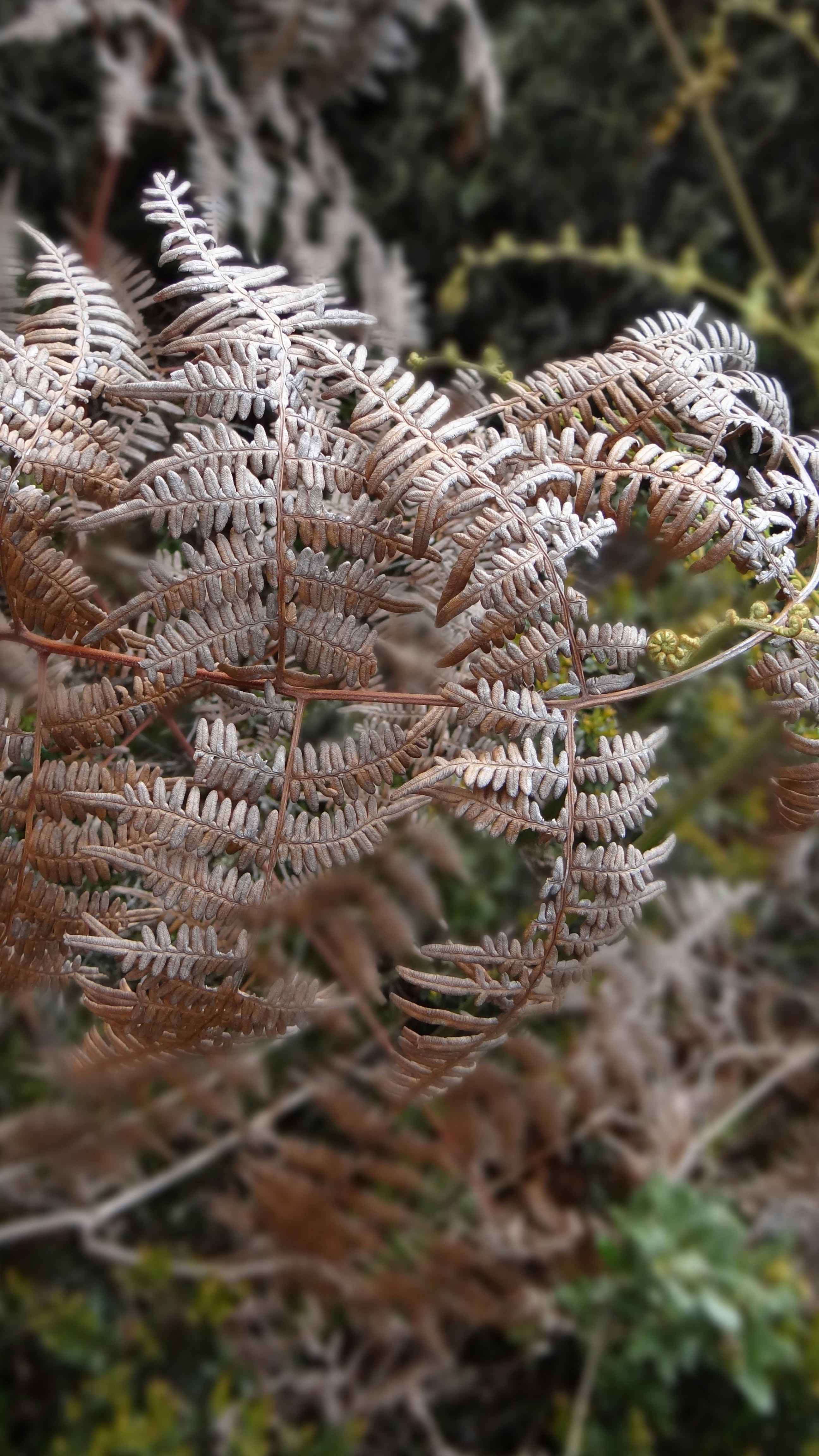 Free Unsplash photo from Nattasha Gomez