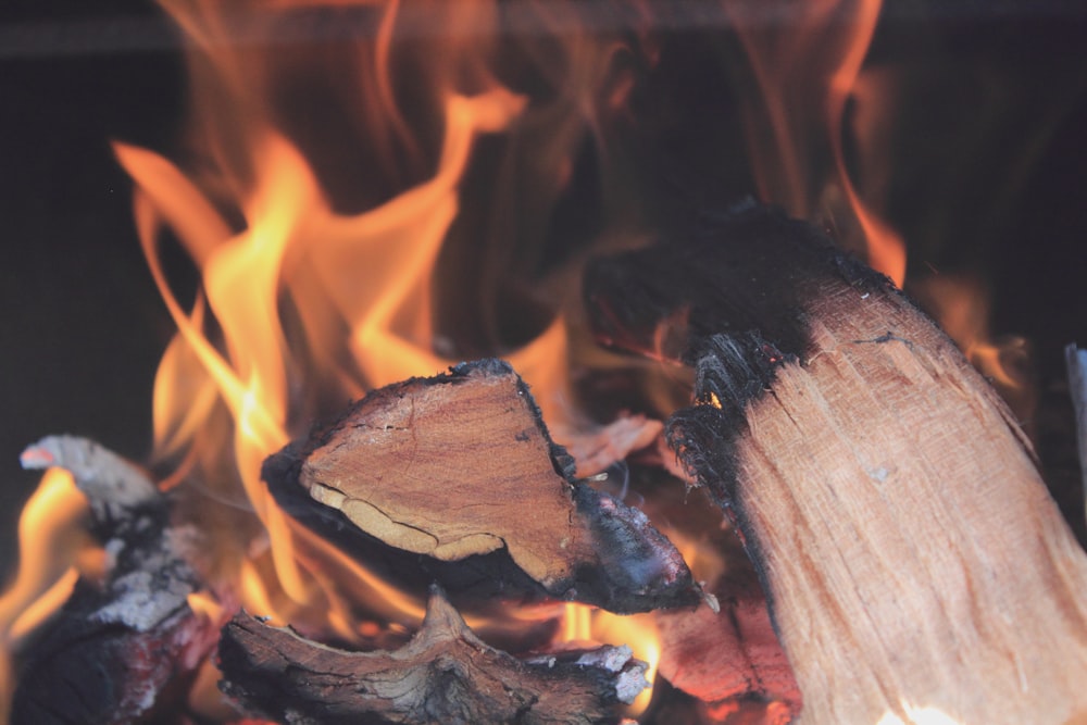 fotografia a fuoco superficiale della fiamma