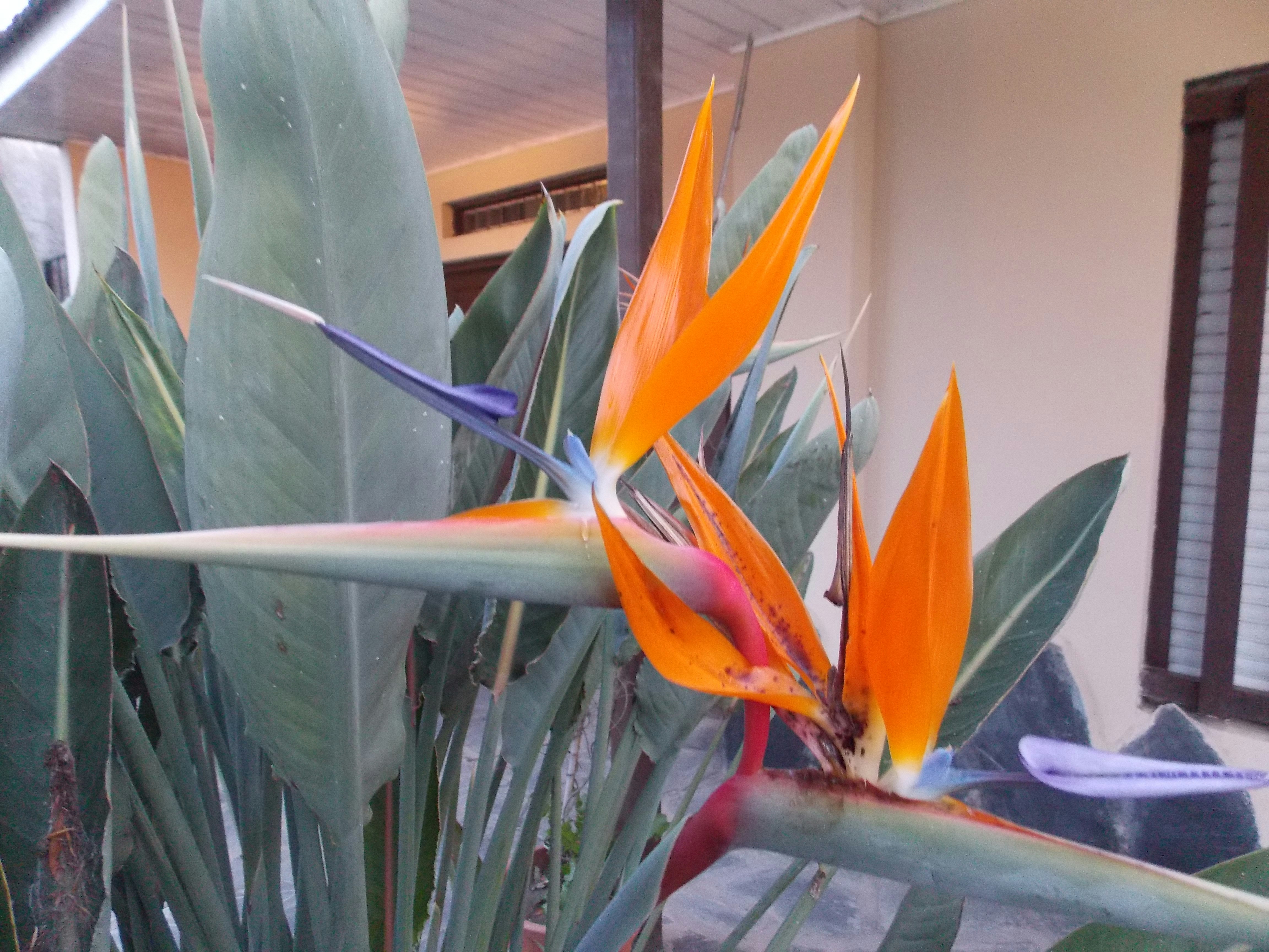 Free Unsplash photo from rainer mertins