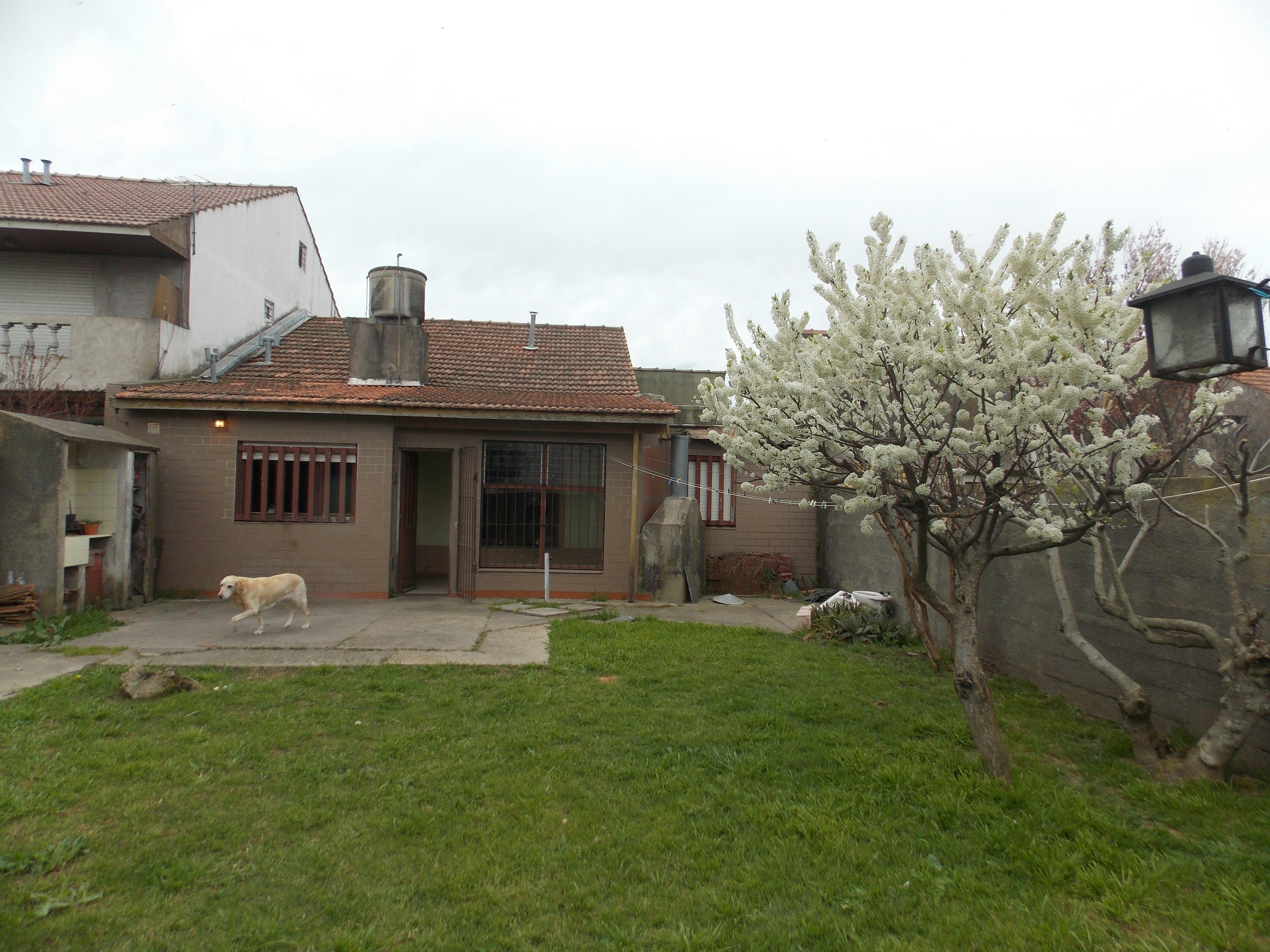 Free Unsplash photo from rainer mertins