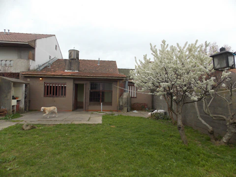 Additional residential unit seamlessly integrated into a backyard setting.