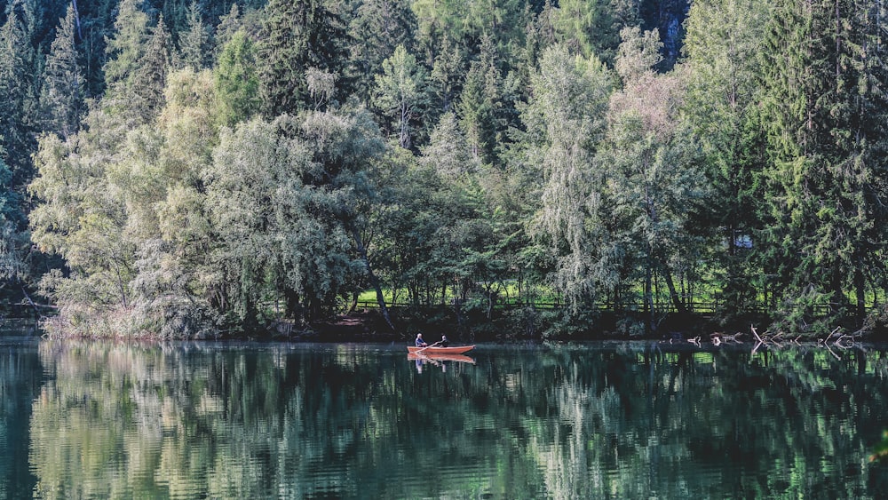 낮에 나무 근처 물 위에 빨간 보트를 탄 두 사람