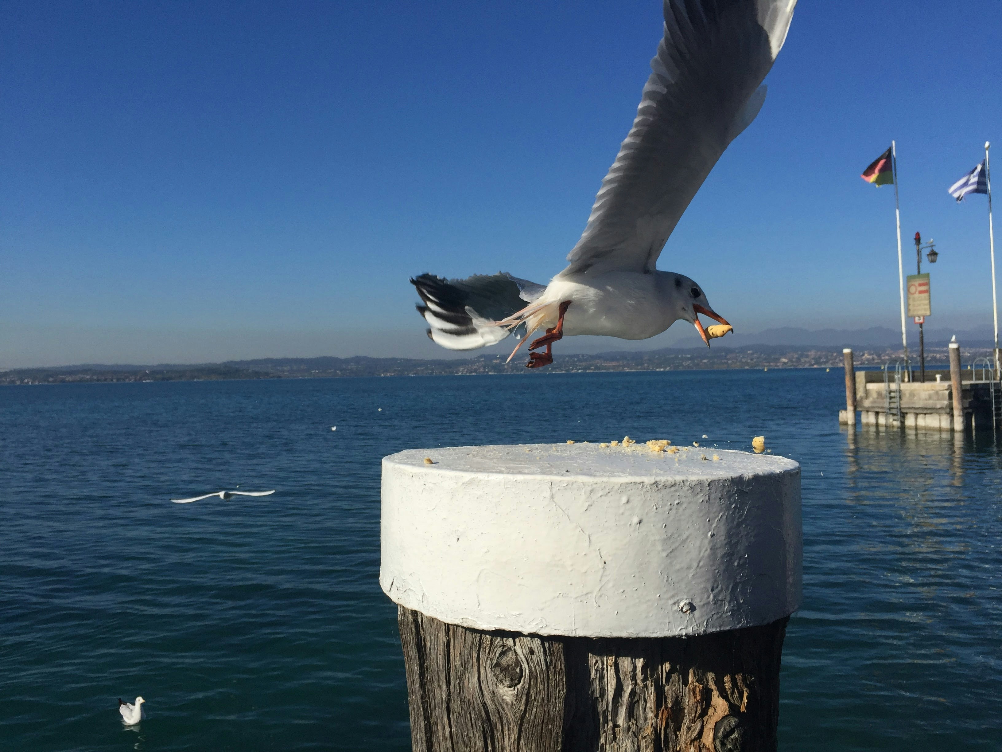 Free Unsplash photo from Dan Paul