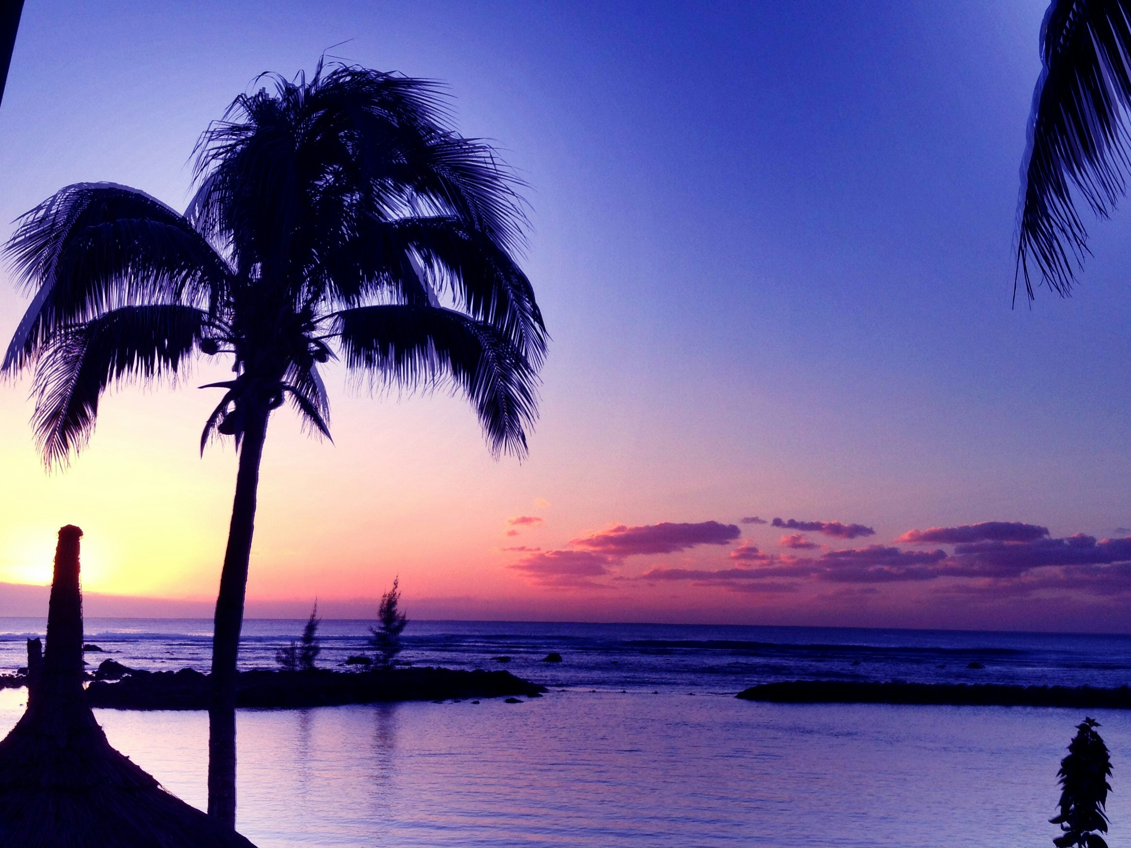 Free Unsplash photo from Gary Taylor