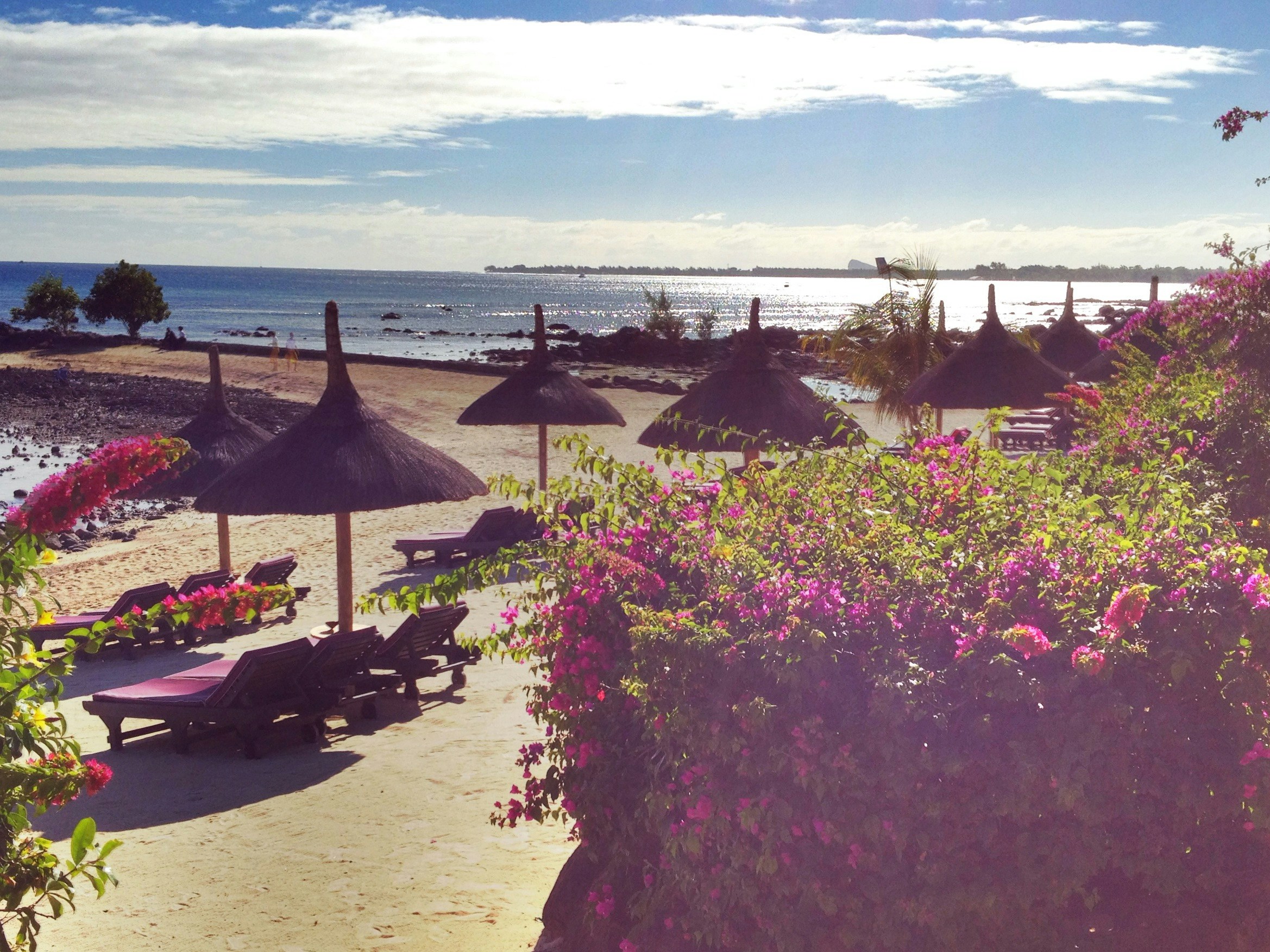 Free Unsplash photo from Gary Taylor