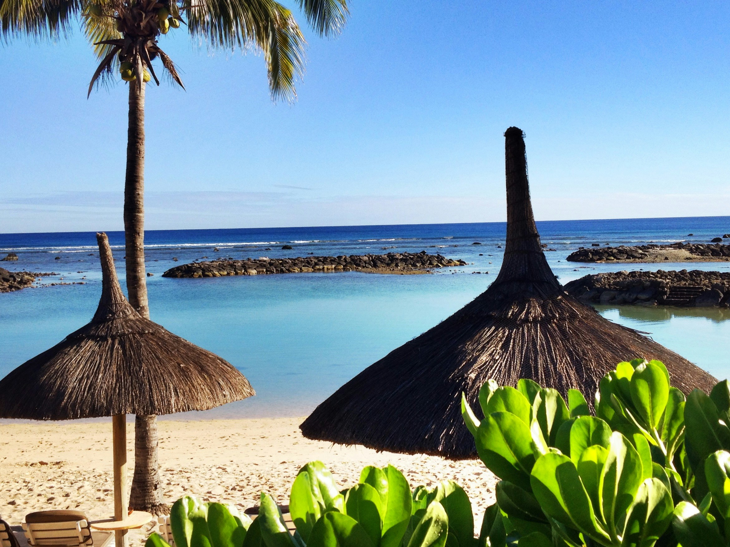 Free Unsplash photo from Gary Taylor