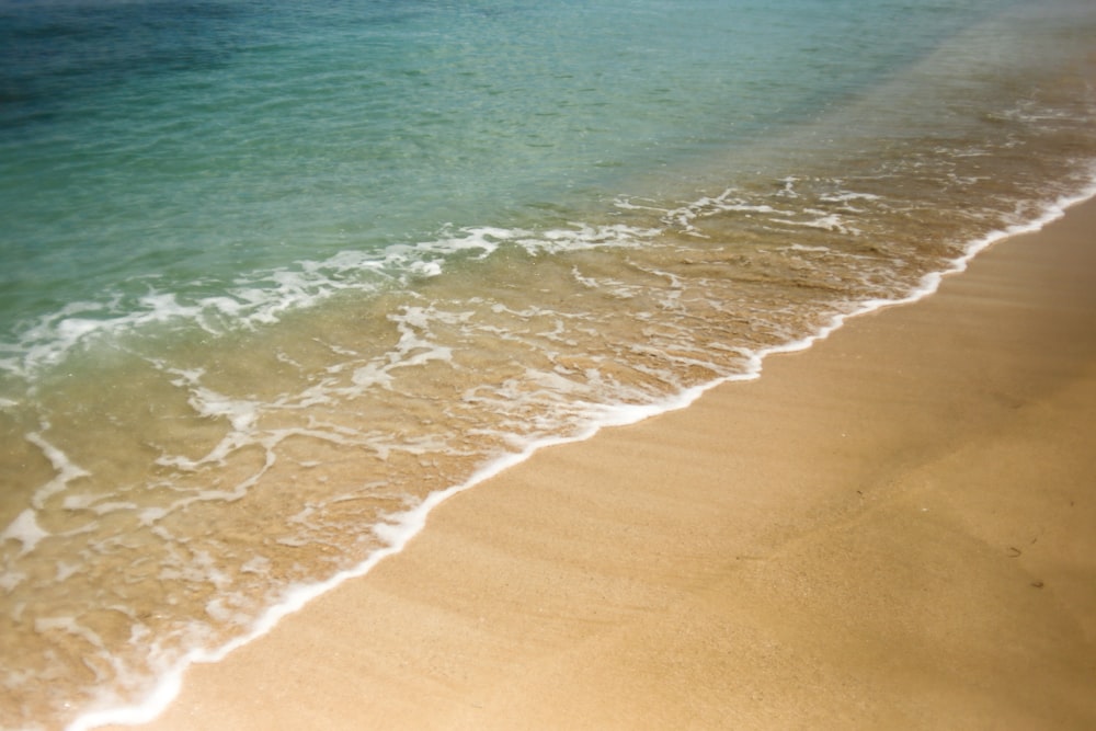 Photographie de la nature de la mer et du rivage