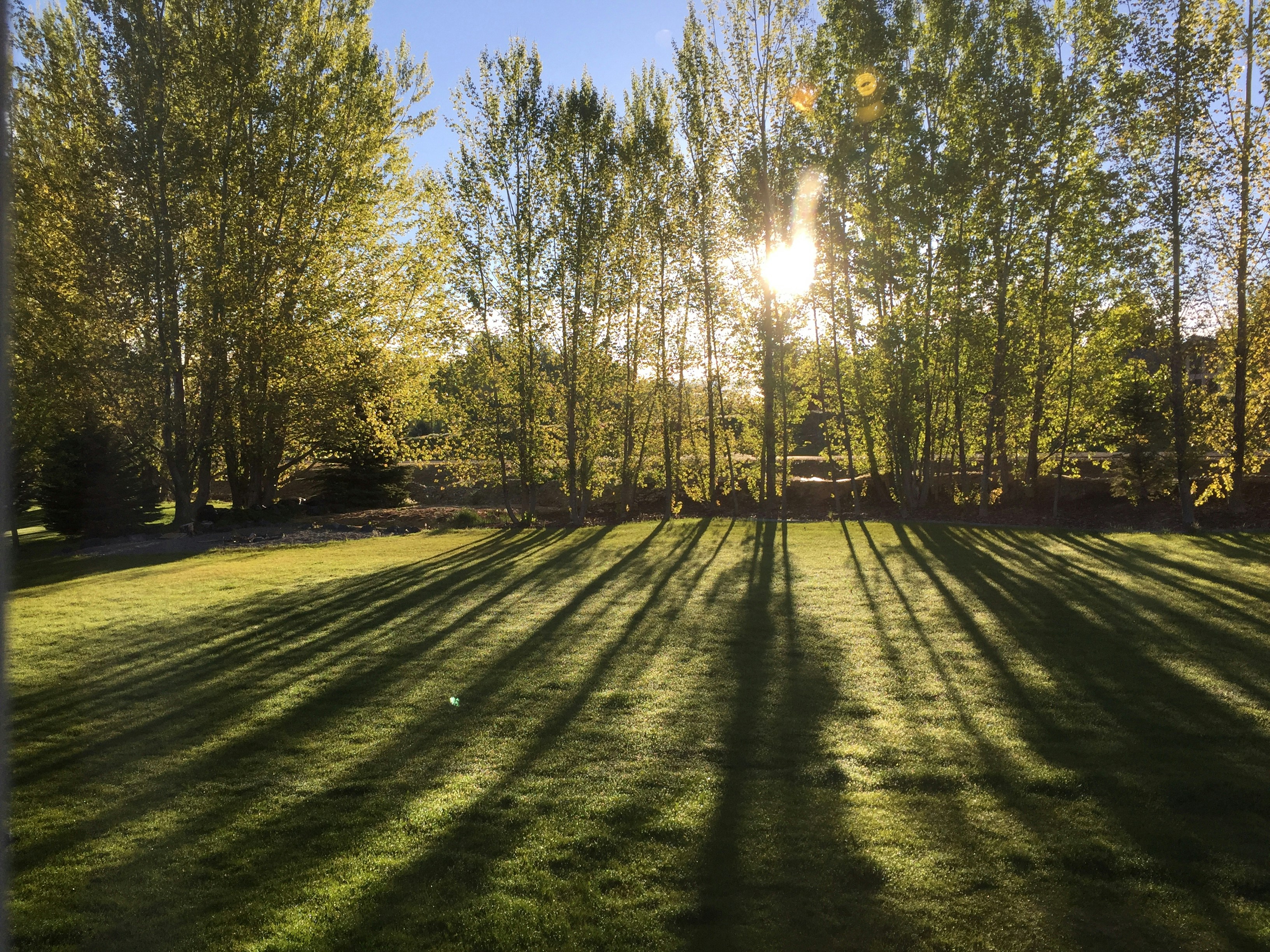 Free Unsplash photo from Bob Canning