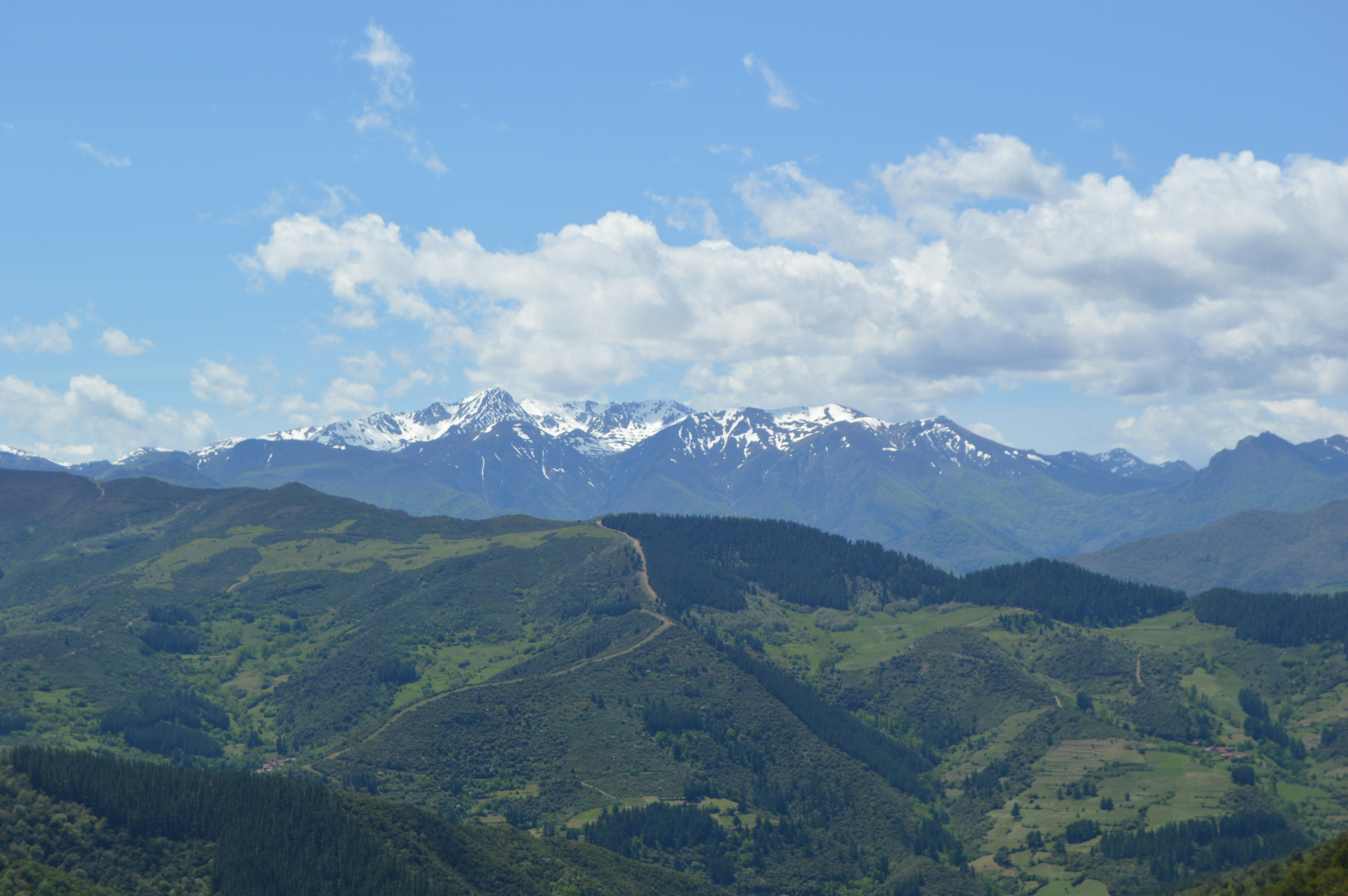 Free Unsplash photo from Cecilia Rodriguez Gonzalez