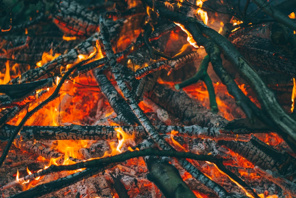 Brennholz in Flammen