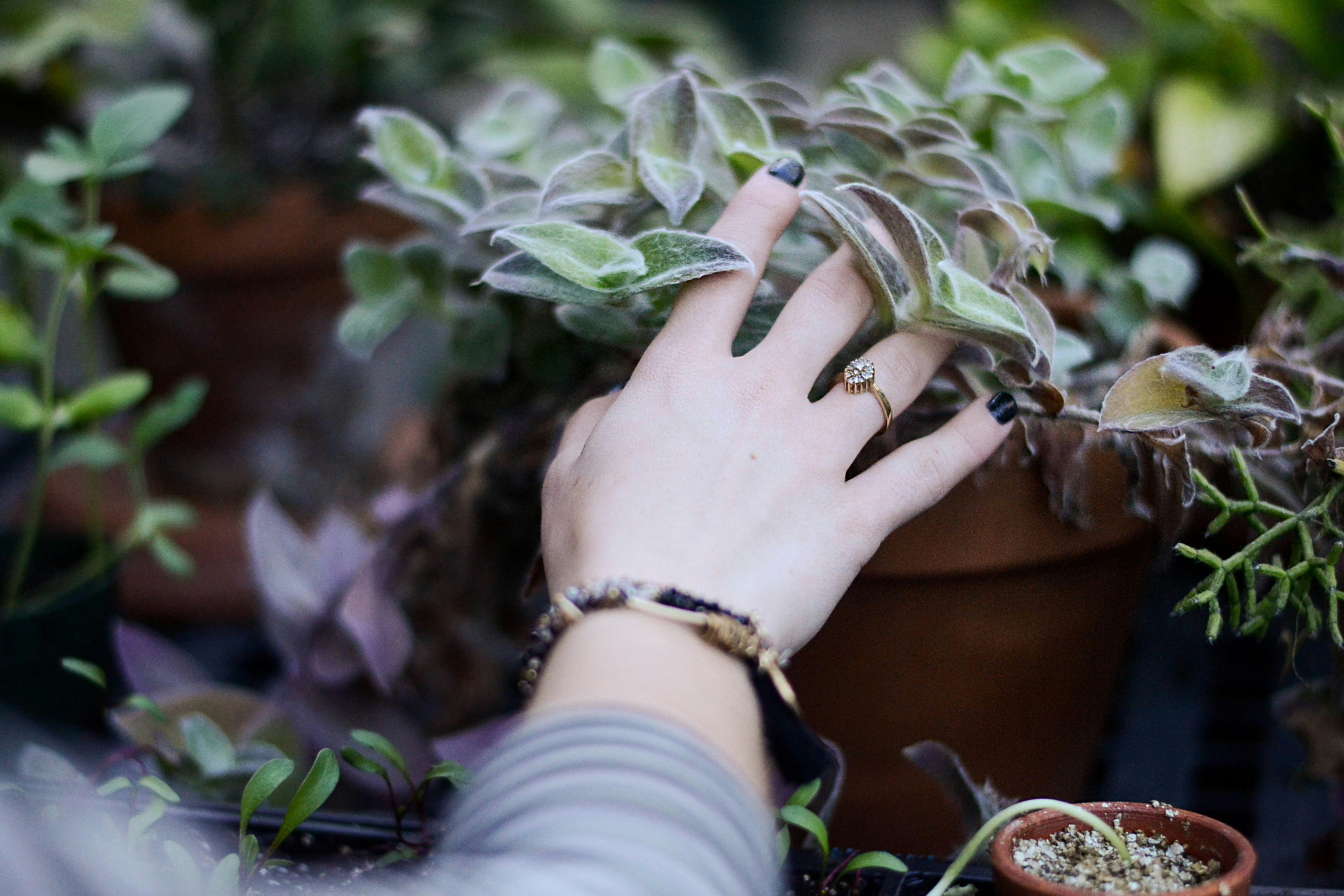 Ditch the Sunday Watering Ritual: Your Plants Never Read the Calendar