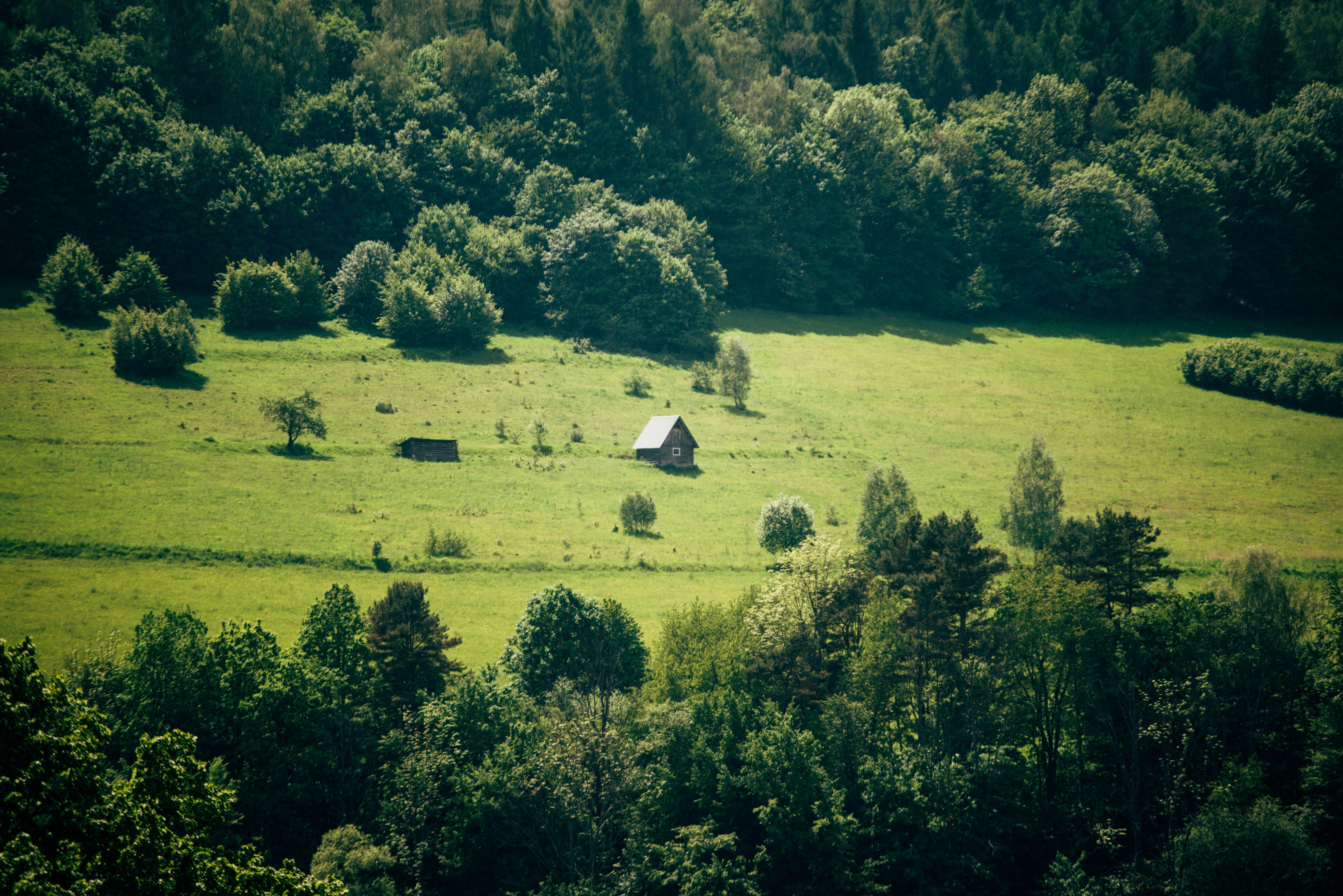 Free Unsplash photo from Paweł Furman