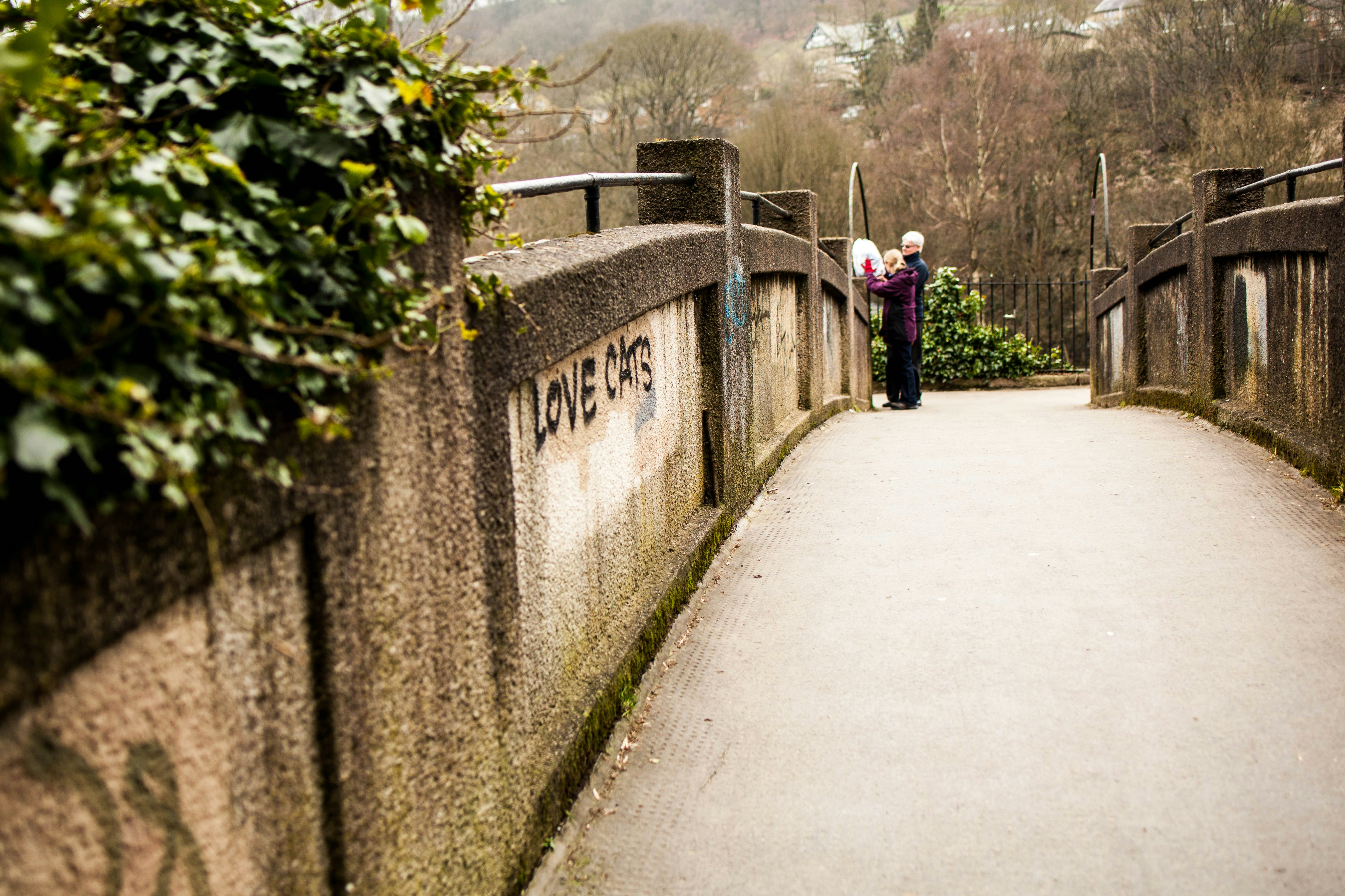 Free Unsplash photo from Nanda Green