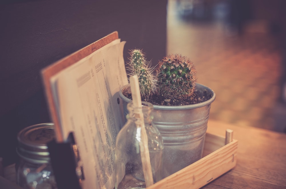 Kaktuspflanze auf grauem Metalltopf neben weißem Druckpapier auf braunem Schreibtisch